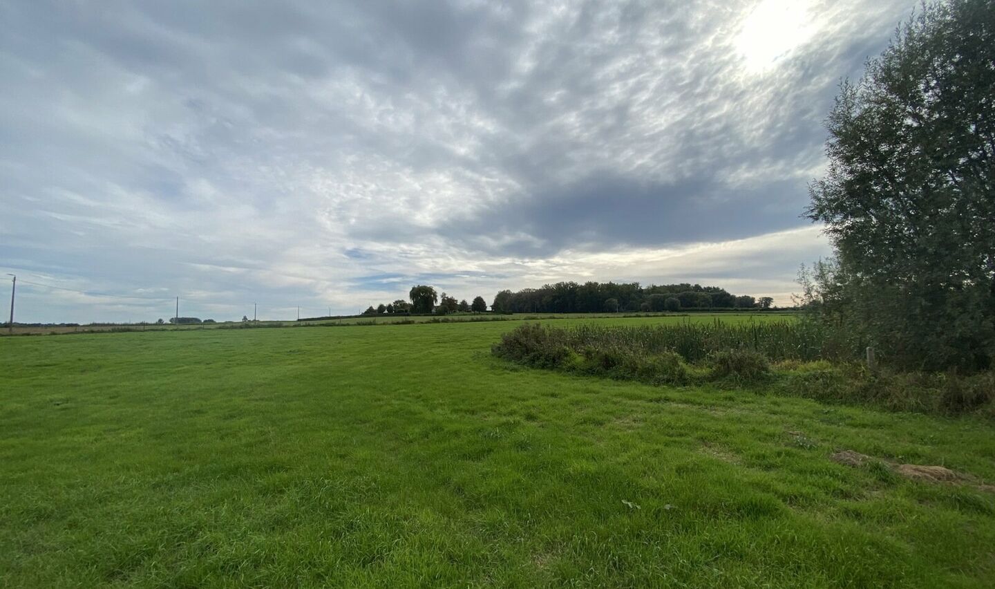 Prairie à vendre à Pepingen