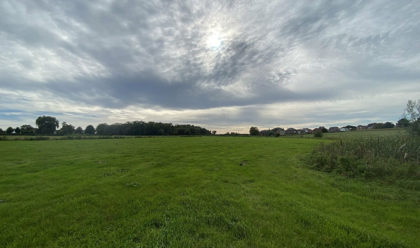 Prairie à vendre à Pepingen