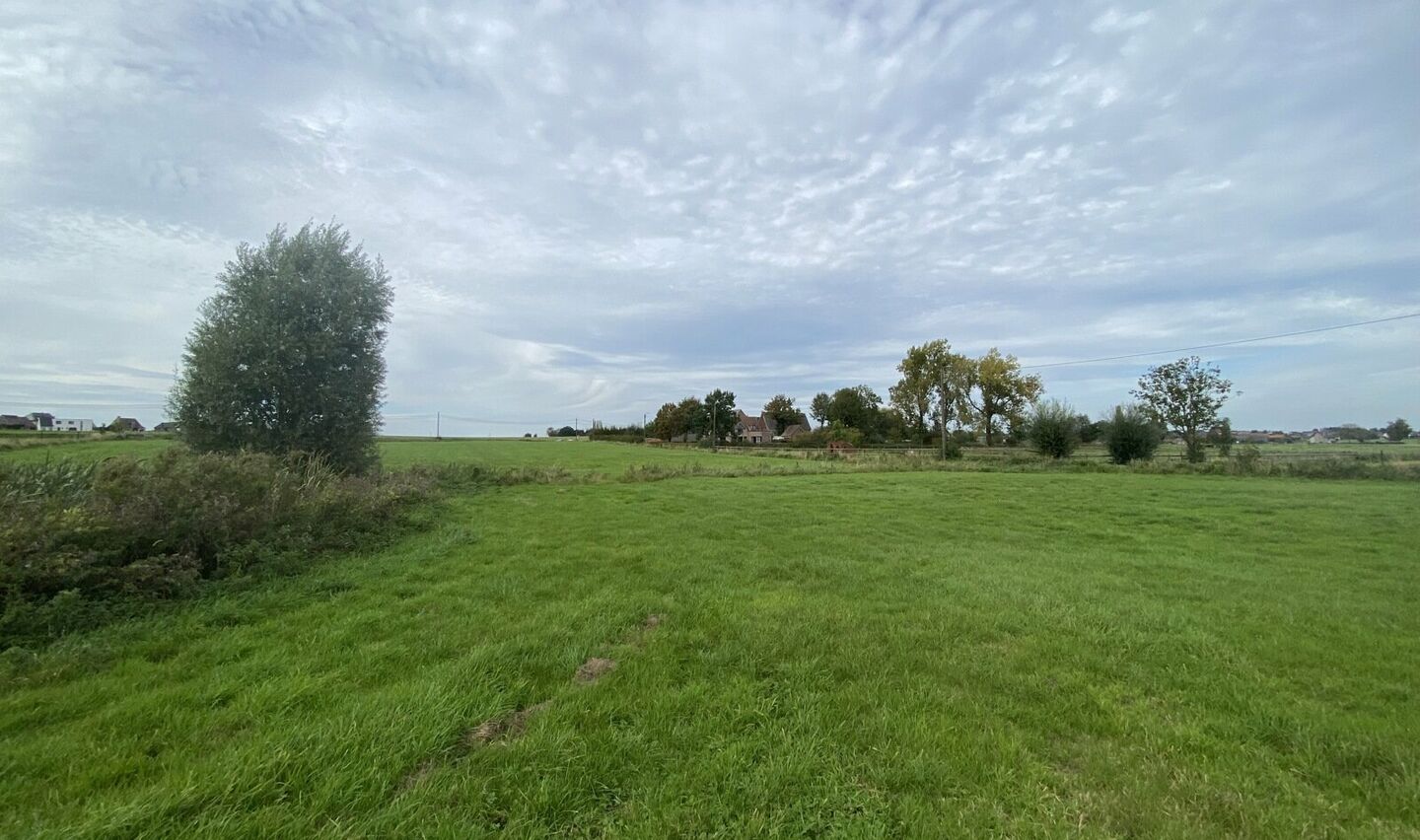 Prairie à vendre à Pepingen