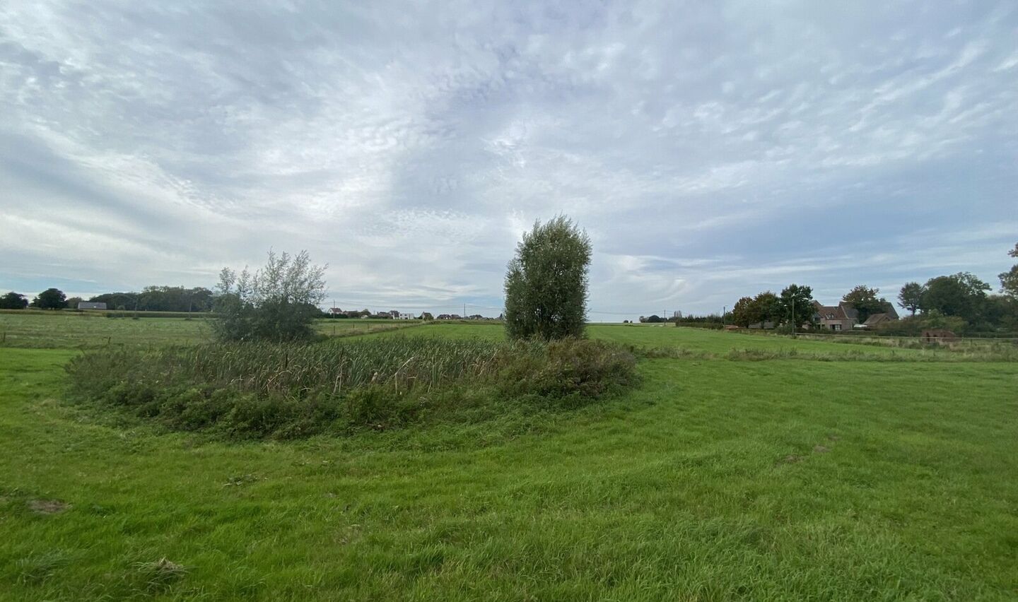 Prairie à vendre à Pepingen