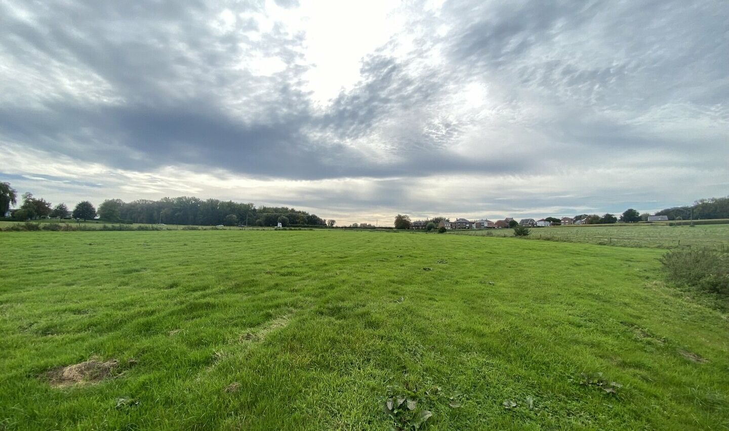 Prairie à vendre à Pepingen