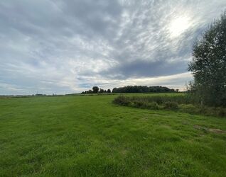 Prairie à vendre à Pepingen