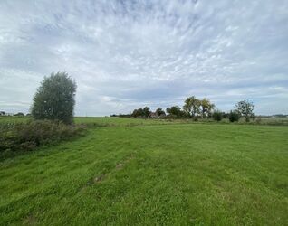 Prairie à vendre à Pepingen