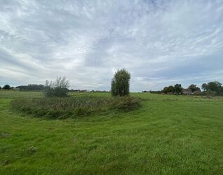 Prairie à vendre à Pepingen